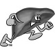 Liver Lover 5K
